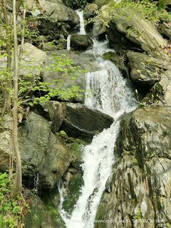 Foto von Sonia Alfieri entlang der Tour