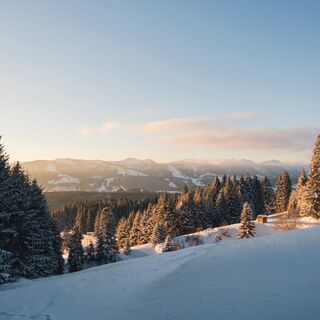 Ausblick vom Alpkönigblick auf die Nagelfluhkette
