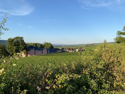 Fotografija s spletne strani Hans van der Meij na poti