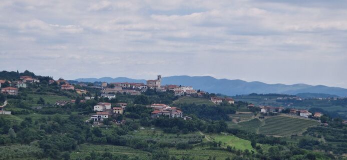 Photo de Utassy Tóth Johanna le long du parcours