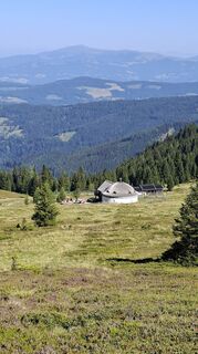 Photo de Horst Ditjo le long du parcours