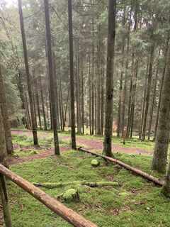 Photo from vieletausendkilometer along the tour