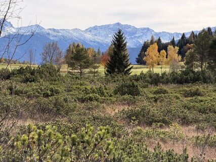 Foto da Knorkenstein lungo il tour