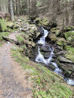 Fotografia z Ildikó Dávidné Nagy na trase