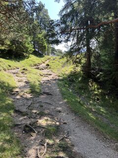 Foto von Anna Andrzejewska entlang der Tour