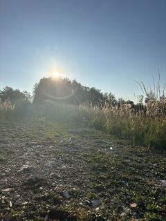 Photo de Vero Hochreiner le long du parcours