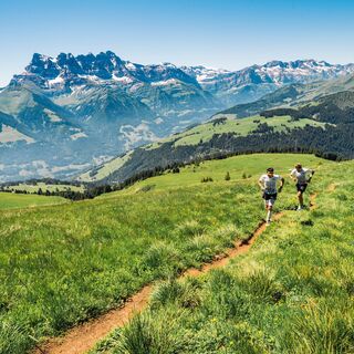 Die Route führt über Weiden in einer weitläufigen Umgebung