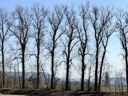 Photo from Conny Wicki along the tour