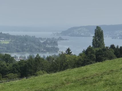Photo de Thomi W le long du parcours