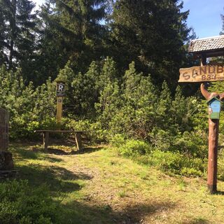 Sandberg bei Neuhaus am Rennweg