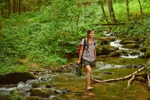 Wandern in der Steinbachklamm zwischen Marbach und Maria Taferl