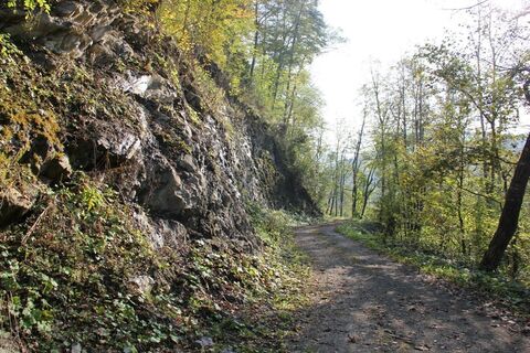 kleeblattwanderweg nr. 2 - wandern in leutschach a.d.w._img_11983546