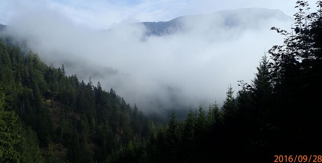 Blick zur nebeligen Schneealpe