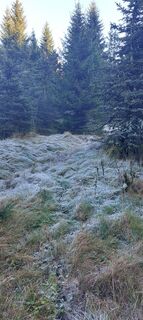 Foto von canonfreund91 entlang der Tour