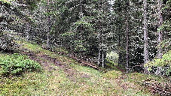 Fotografia z Mandi_3000 na trase