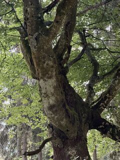 Fotografie z Andreas Hanek na trase
