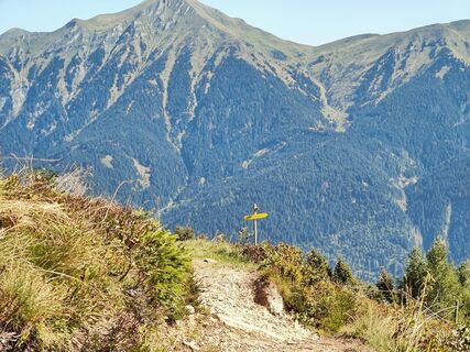 Photo de Lena Eder le long du parcours
