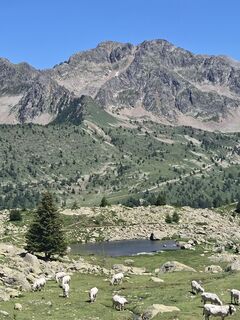 Photo de Francesca Semeraro le long du parcours