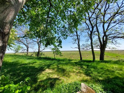 Fotografia z catherina na trase