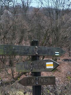 Foto von Julika Jármer entlang der Tour