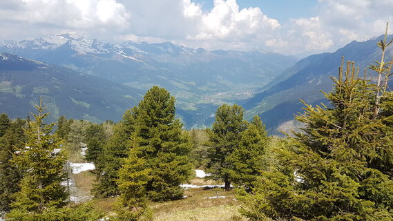 Blick ins Gasteinertal