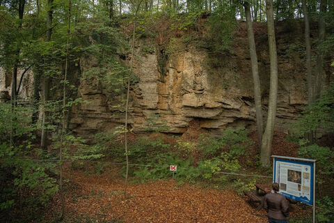 Oberschroffener Orgeln-09