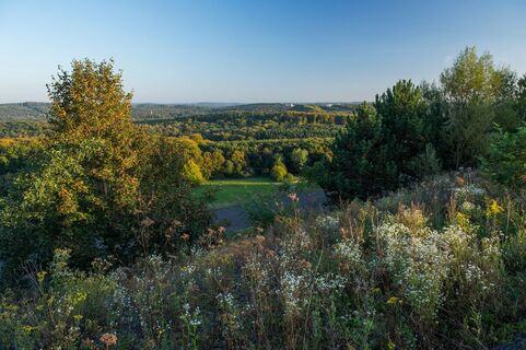 Panorama Neunkircher Land