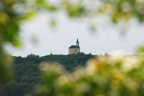 Michelberg über Schauerkreuz und Rohrbach