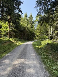 Fotografija s spletne strani Tom Bader na poti