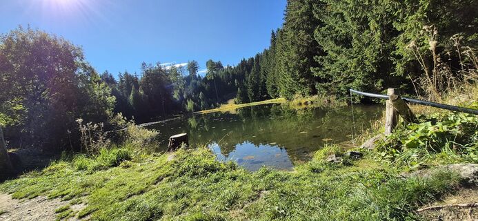 Foto von Heisi entlang der Tour