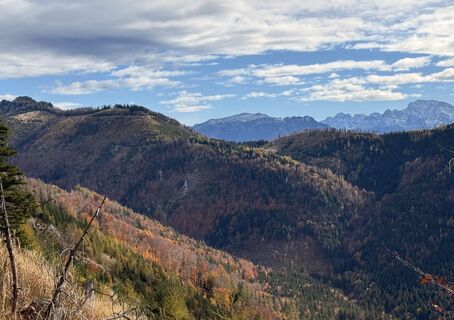 Fotografija s spletne strani Natur_erleben_dg na poti