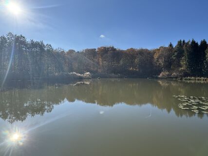 Kuva osoitteesta Ulrich Höhs matkan varrella