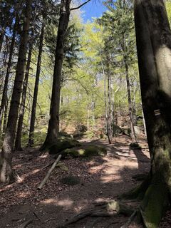 Foto von Marunka Kostalova entlang der Tour
