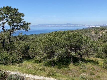 Foto von Ursula Müller 1 entlang der Tour