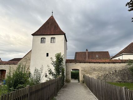 Foto de justasimpleguy a lo largo del recorrido