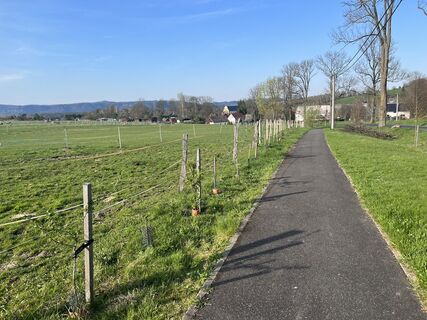 Фото с сайта Václav Stejskal во время экскурсии