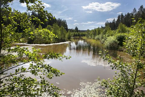 Spitalweiher