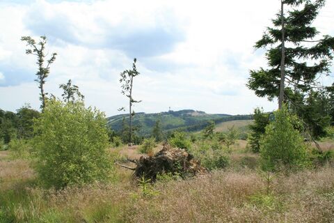 Blicke vom Langenberg