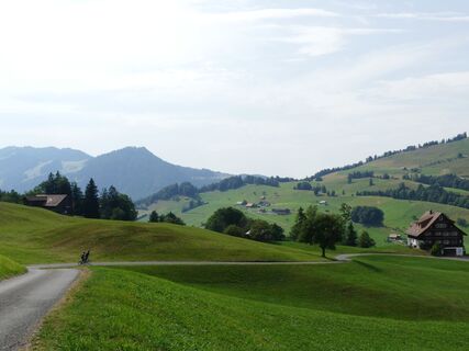 Aufstieg von Sattel zum Mostelberg
