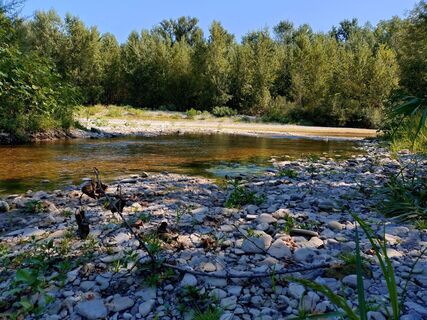 Foto von Roman entlang der Tour