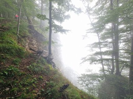 Photo de Gregor Bizjak79 le long du parcours