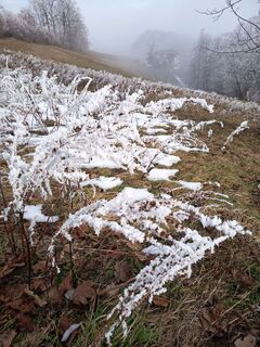 Foto von Lehnerchristian entlang der Tour