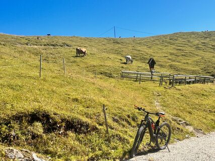 Foto von Andreas Mai 3 entlang der Tour
