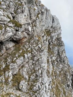 Foto von Ster entlang der Tour