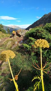 Foto von Aga M entlang der Tour
