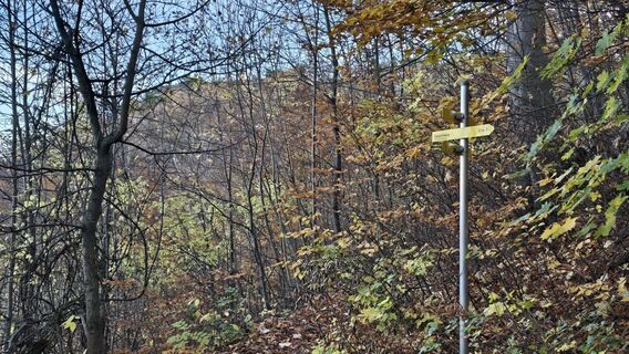 Foto de Hieu Duc Tram a lo largo del recorrido