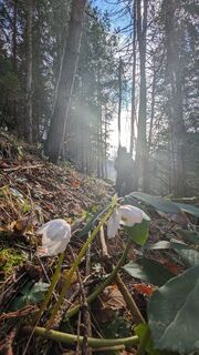Foto von Klaus Lehner entlang der Tour