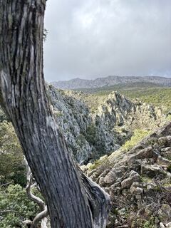 Fotografie z Giacomo na trase