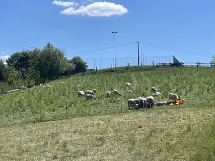 Foto von Sanca entlang der Tour