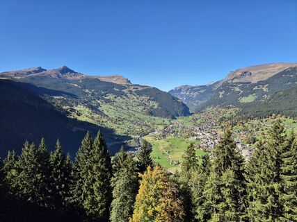 Fotografia z cgass na trase